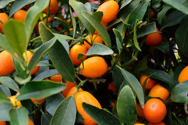 20150326 - Rome - 236